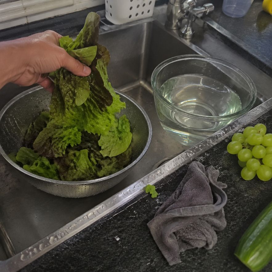 Fresh greens after washing